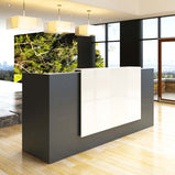 R-C-015-4 Reception Counter