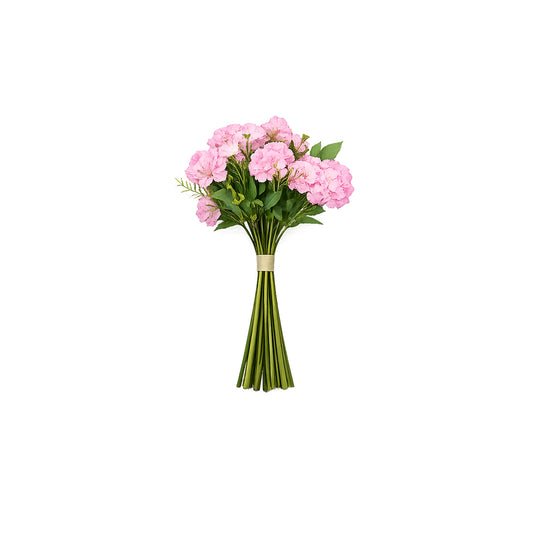 Blush Bloom
