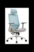 Simple| Premium Ergonomic Mesh Chair