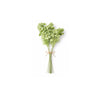 Elegant Flower Bouquet