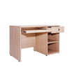 Computer Table